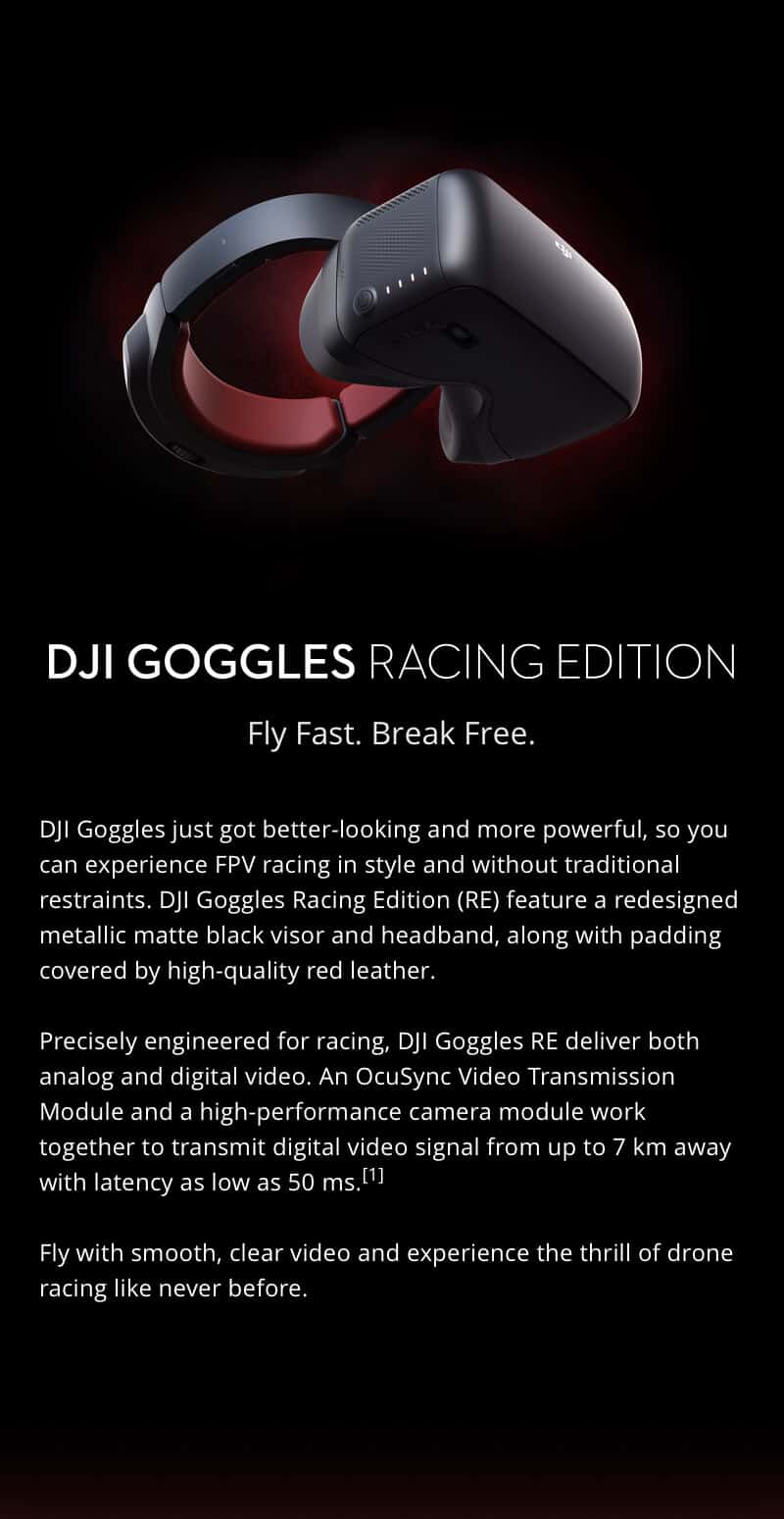Goggles RE - Fly Fast, Break Free