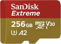Sandisk 256GB