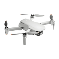 DJI Mini 2 SE